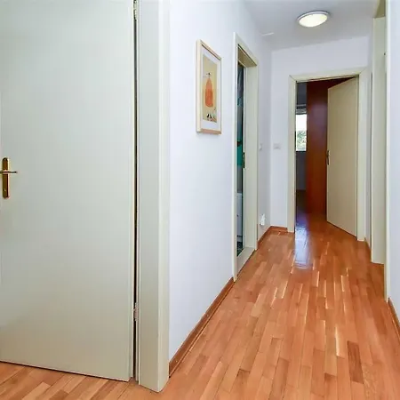 Butterfly In For 6 Persons Спліт