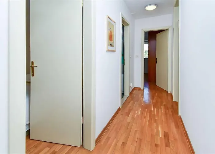 Butterfly In For 6 Persons Split